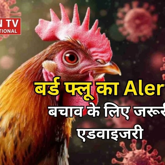 बिहार में बर्ड फ्लू का अलर्ट, पशुपालन विभाग ने बचाव के लिए एडवाइजरी