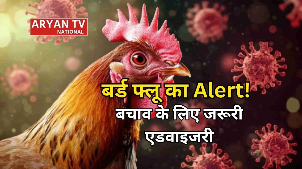 बिहार में बर्ड फ्लू का अलर्ट, पशुपालन विभाग ने बचाव के लिए एडवाइजरी