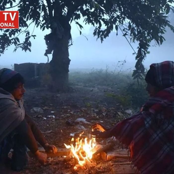 Delhi Weather: राजधानी में कंपकंपाहट वाली ठंड का कहर, IMD ने जारी किया येलो अलर्ट, पढ़ें लेटेस्ट अपडेट
