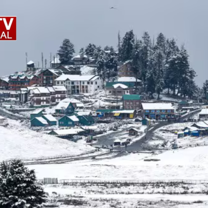 Himachal Pradesh Weather: शिमला से मनाली तक हर जगह बिछी बर्फ़बारी की सफ़ेद चादर