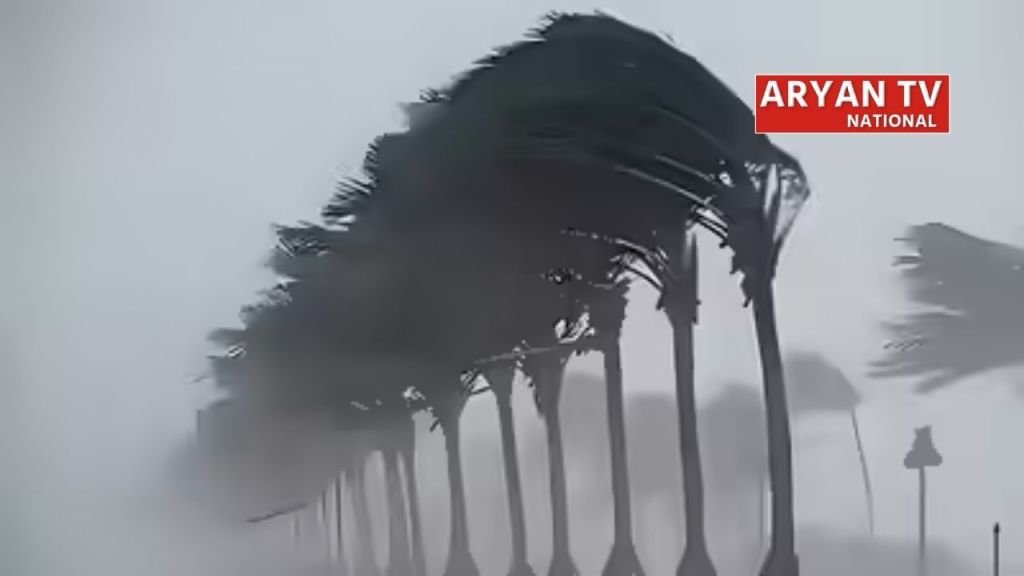 Current image: 12 जिलों में घने कोहरे का अलर्ट किया जारी