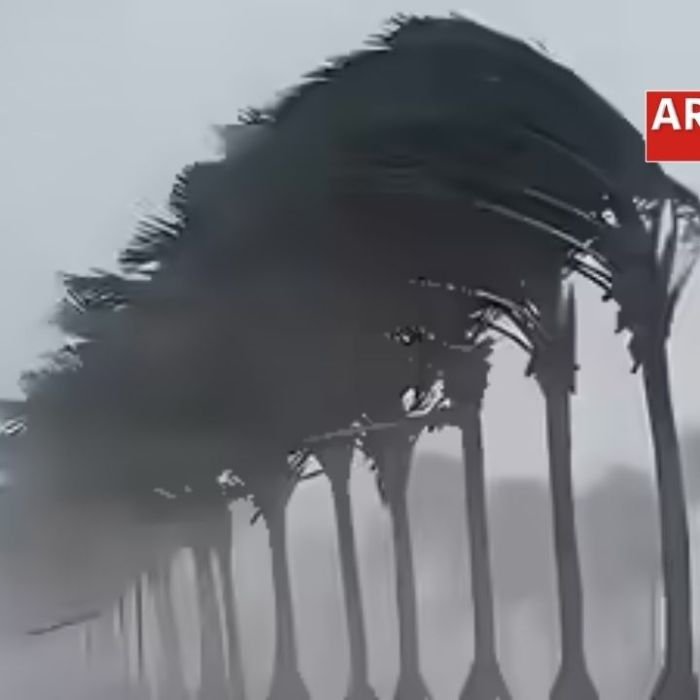 Bihar Weather 02 February 2026: 12 जिलों में घने कोहरे का अलर्ट किया जारी, यहां जानें पूरी जानकारी