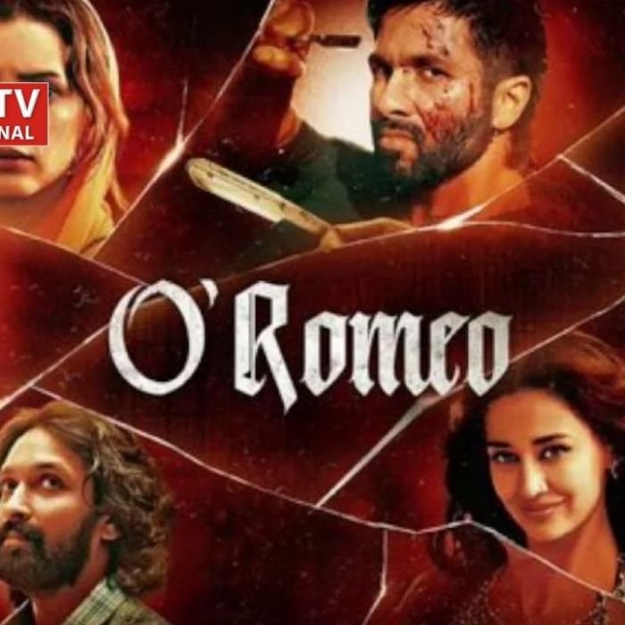 रोमियो पर जूलियट का दमदार जलवा,जानें शाहिद पर कैसे भारी पड़ी तृप्ति- पढ़ें मूवी रिव्यू