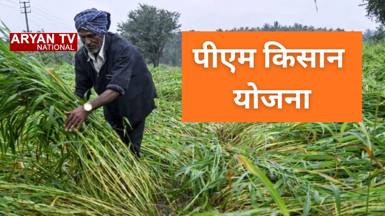 पीएम किसान योजना से जुड़े करोड़ों किसानों के लिए बड़ी अपडेट,खाते में कब आएंगे पैसे,जानें ताजा स्थिति