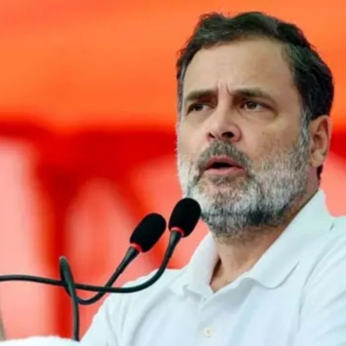 Tamil Nadu Election: चुनाव प्रचार के आखिरी 9 दिन बाकी, राहुल गांधी की एंट्री न होने से DMK-कांग्रेस गठबंधन पर उठे सवाल