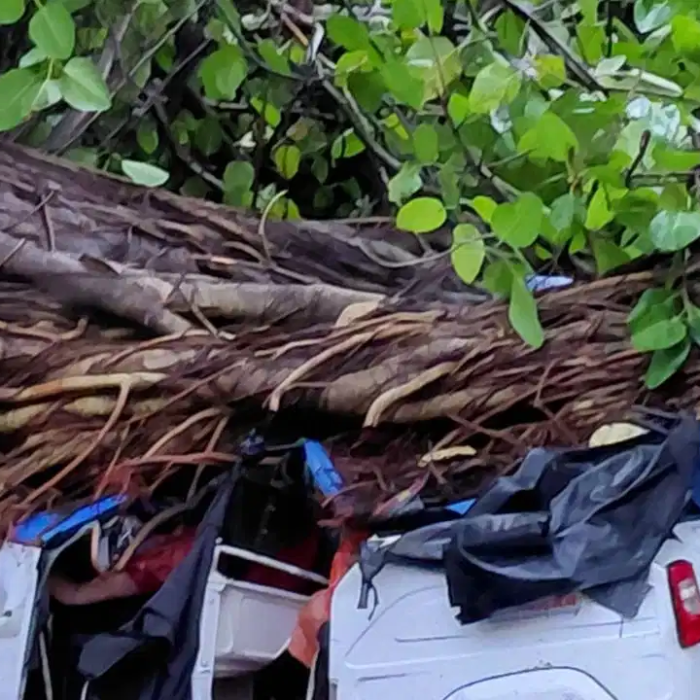 Kanpur Weather: कानपुर में कुदरत का कहर आंधी-बारिश और ओलावृष्टि से 3 की मौत, कई घायल