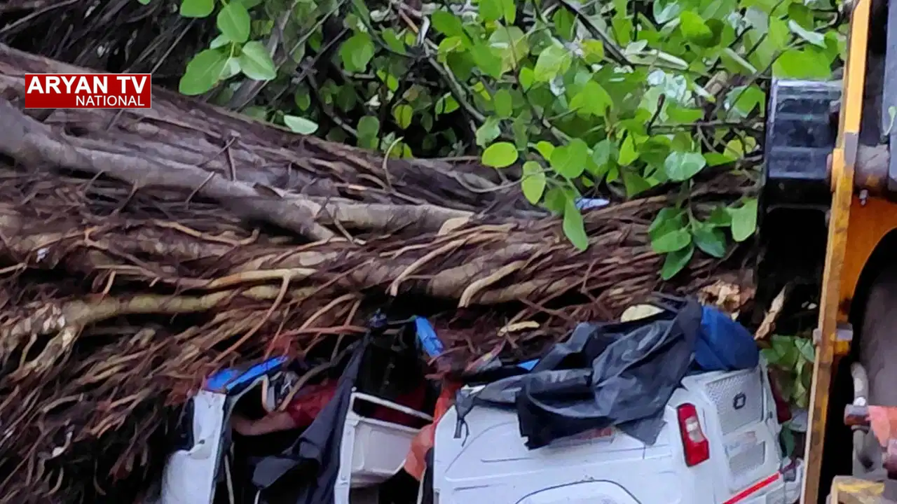 Kanpur Weather: कानपुर में कुदरत का कहर आंधी-बारिश और ओलावृष्टि से 3 की मौत, कई घायल