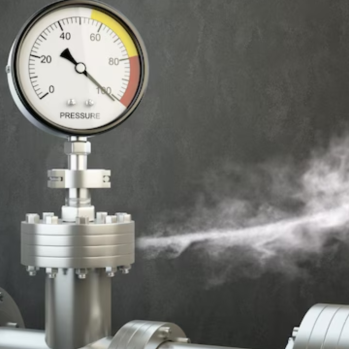 Pune Gas Leak: पुणे में रात की शांति बनी डरावना मंजर, हवा संग आई आफत, 20 लोग अस्पताल में भर्ती
