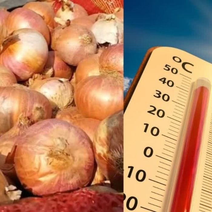 गर्मी में शरीर को लू से बचाने के लिए जानें प्याज के फायदे