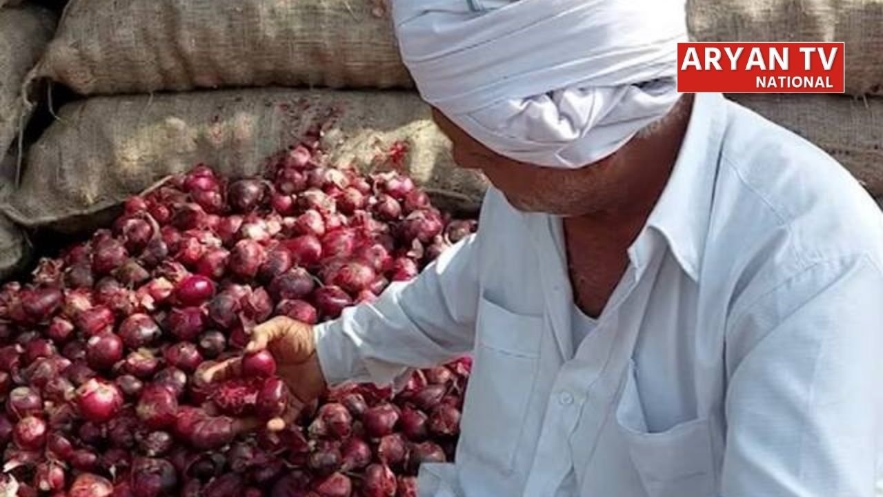 प्याज का ताजा भाव: 50 पैसे किलो तक पहुंची कीमत, महाराष्ट्र के किसान बोले- अब कैसे चलेगा घर?