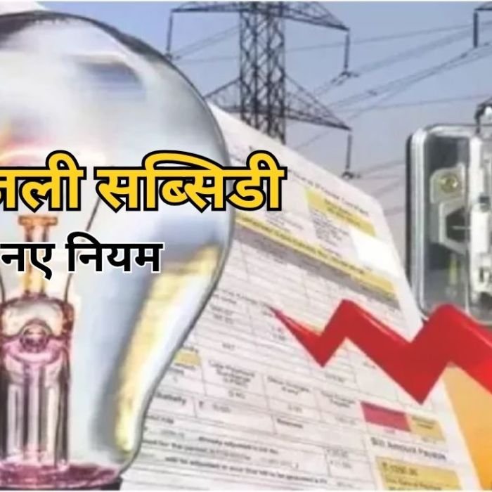 Delhi Electricity Subsidy Rules: फ्री बिजली सब्सिडी पाने के लिए दिल्लीवासियों को करना होगा ये जरूरी काम, जानें नए नियम